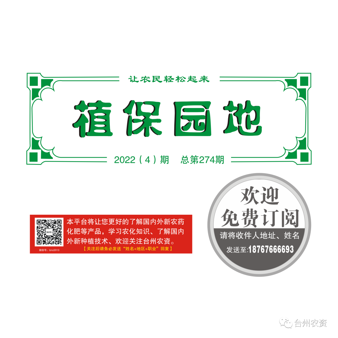 氣溫驟降，大棚西瓜做好以下幾點(diǎn)工作