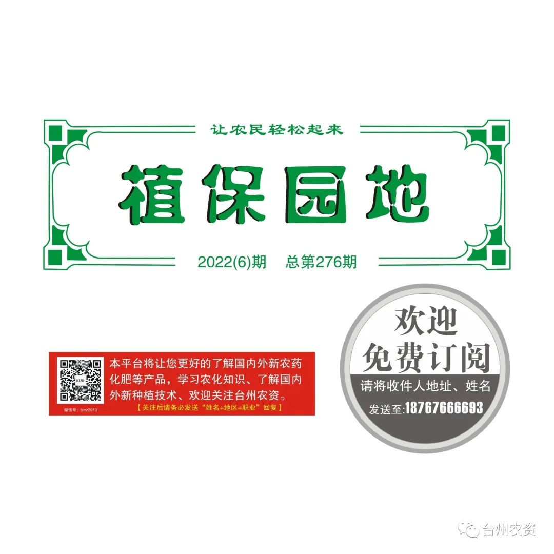 雜交水稻制種增施必奧硅、持力硼成熟期表現(xiàn)情況
